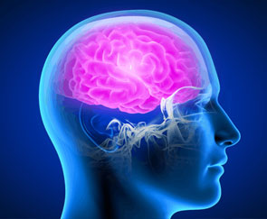 nutraceutical Neurology products